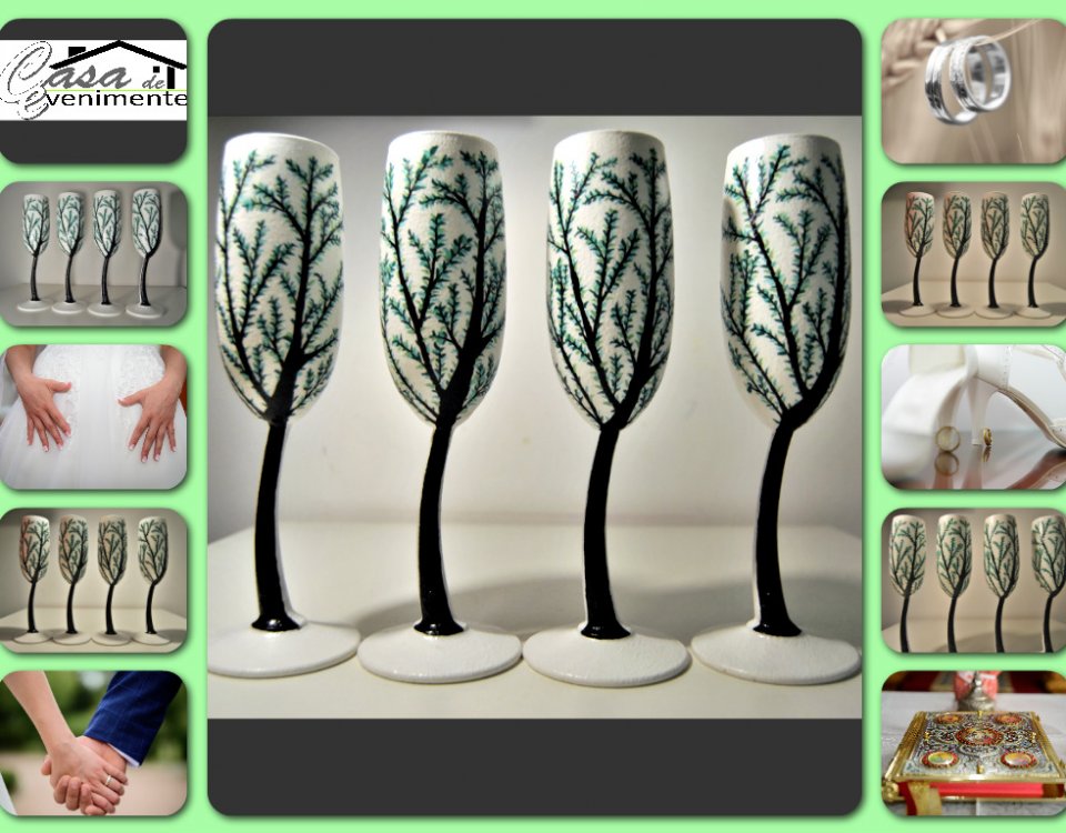 Pahare de concurs - Te casatoresti sau esti nas?